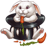 Hase